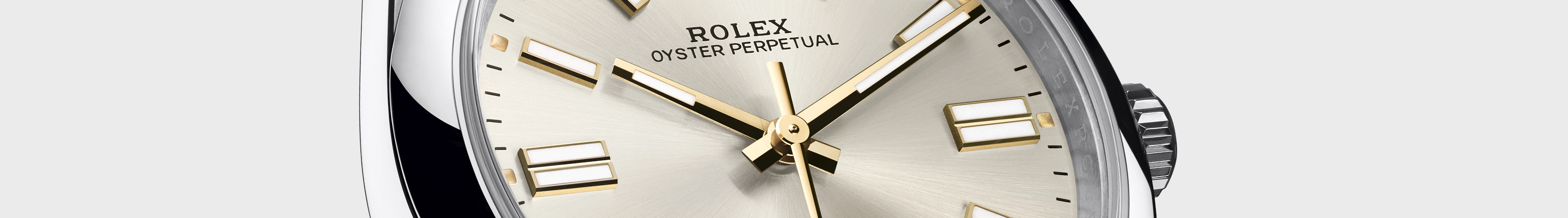 Oyster Perpetual Banner Image